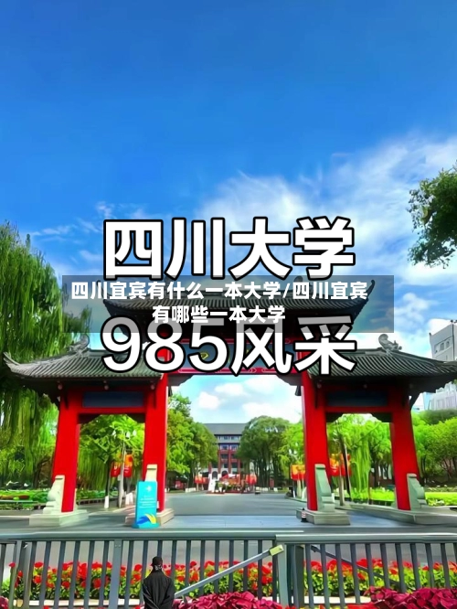 四川宜宾有什么一本大学/四川宜宾有哪些一本大学-第2张图片