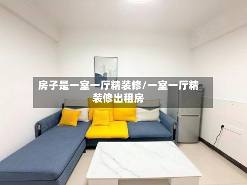 房子是一室一厅精装修/一室一厅精装修出租房-第2张图片