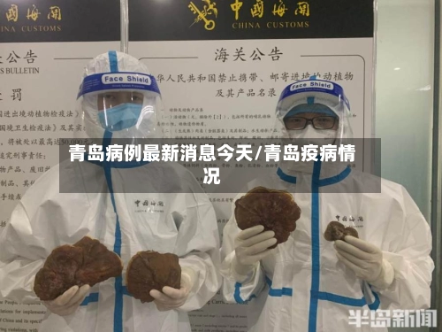 青岛病例最新消息今天/青岛疫病情况