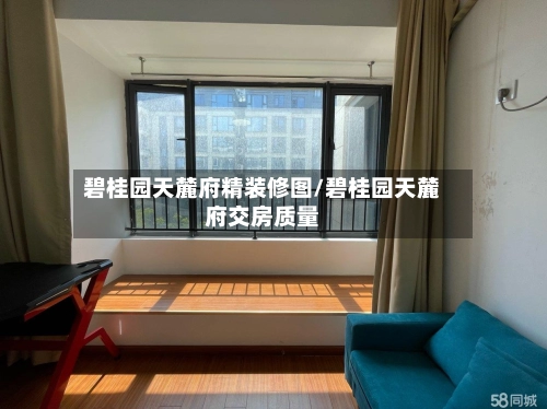 碧桂园天麓府精装修图/碧桂园天麓府交房质量