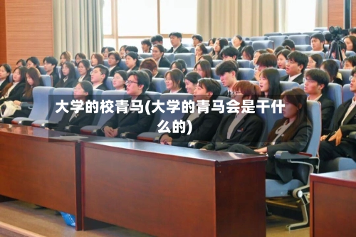 大学的校青马(大学的青马会是干什么的)-第2张图片