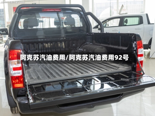 阿克苏汽油费用/阿克苏汽油费用92号-第2张图片