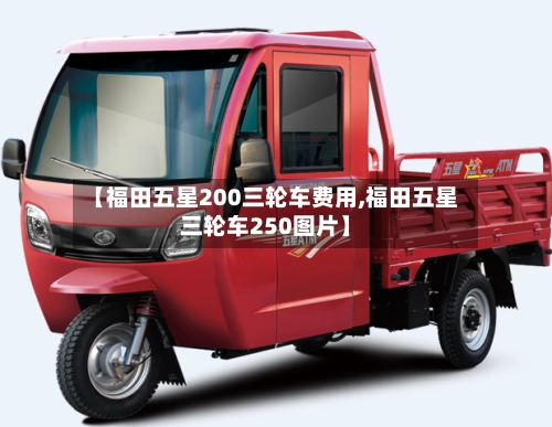【福田五星200三轮车费用,福田五星三轮车250图片】