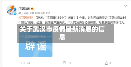关于武汉市疫情最新消息的信息-第2张图片