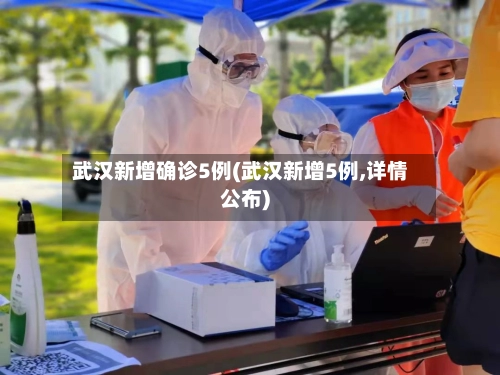武汉新增确诊5例(武汉新增5例,详情公布)
