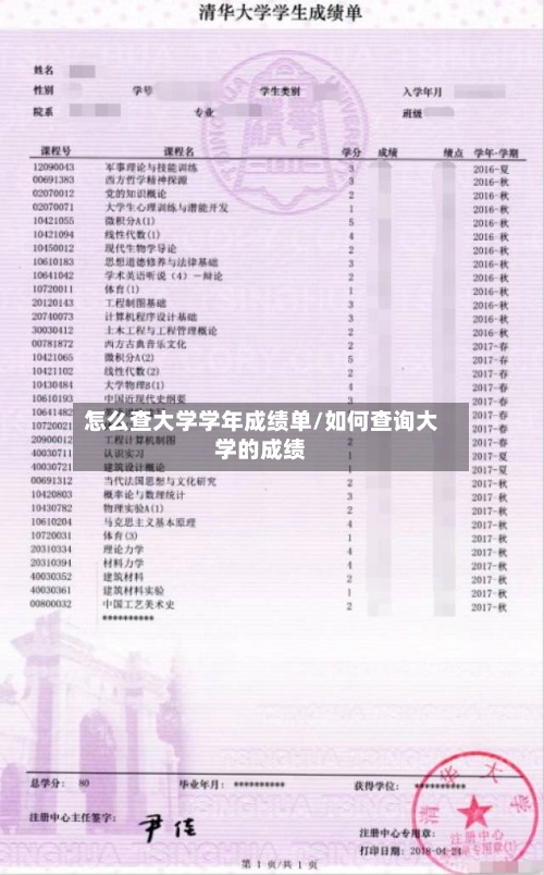 怎么查大学学年成绩单/如何查询大学的成绩-第2张图片