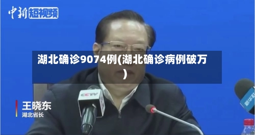 湖北确诊9074例(湖北确诊病例破万)