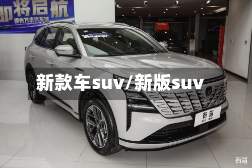 新款车suv/新版suv