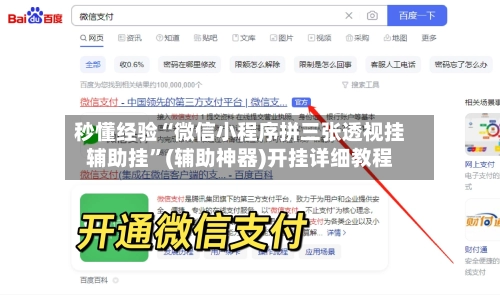 秒懂经验“微信小程序拼三张透视挂辅助挂”(辅助神器)开挂详细教程-第2张图片