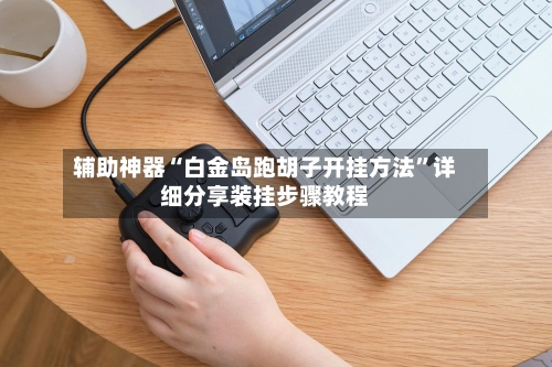 辅助神器“白金岛跑胡子开挂方法”详细分享装挂步骤教程-第3张图片