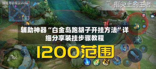 辅助神器“白金岛跑胡子开挂方法”详细分享装挂步骤教程-第2张图片