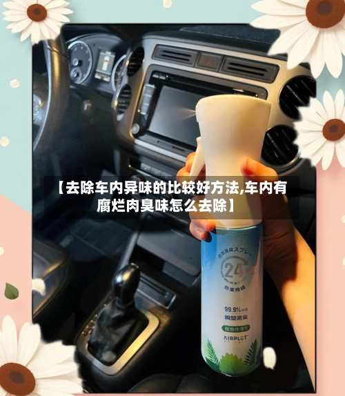 【去除车内异味的比较好方法,车内有腐烂肉臭味怎么去除】
