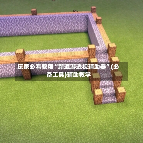 玩家必看教程“新道游透视辅助器”(必备工具)辅助教学-第3张图片