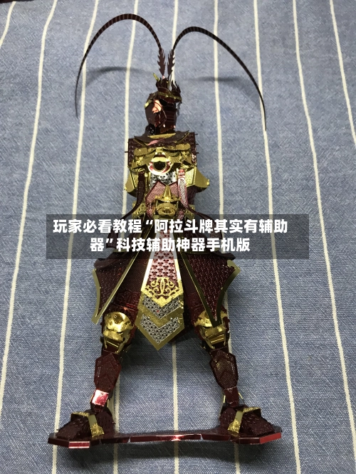 玩家必看教程“阿拉斗牌其实有辅助器”科技辅助神器手机版-第3张图片