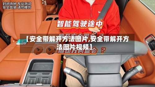 【安全带解开方法图片,安全带解开方法图片视频】