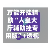 万能开挂辅助“人皇大厅辅助挂专用版”+透视挂”开挂辅助软件教程-第2张图片