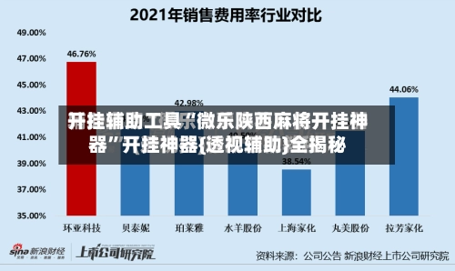 开挂辅助工具“微乐陕西麻将开挂神器”开挂神器{透视辅助}全揭秘-第2张图片