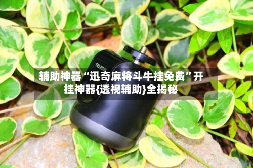 辅助神器“迅奇麻将斗牛挂免费”开挂神器{透视辅助}全揭秘-第3张图片