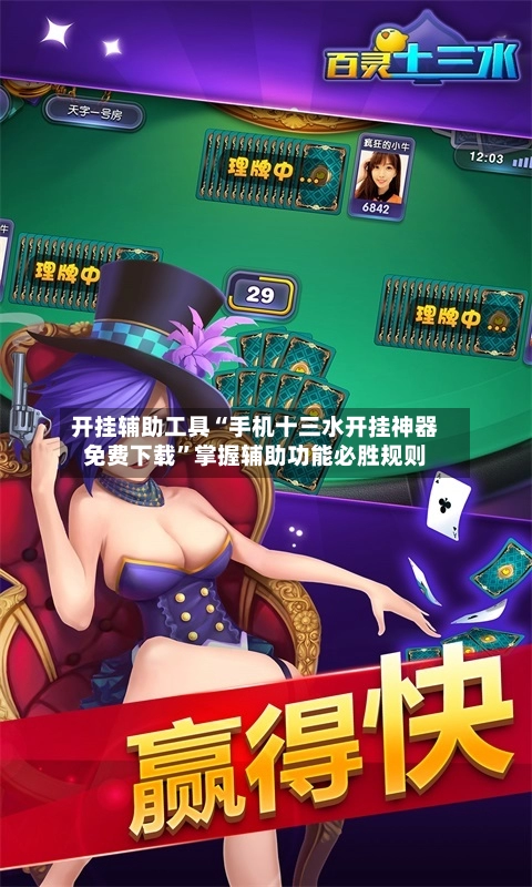 开挂辅助工具“手机十三水开挂神器免费下载”掌握辅助功能必胜规则-第3张图片