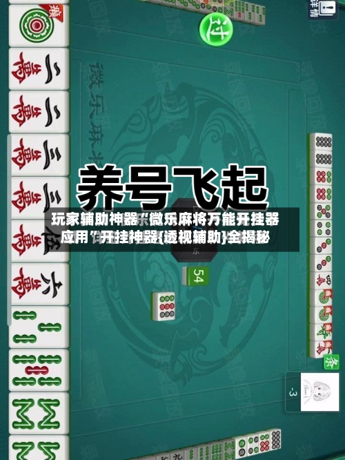玩家辅助神器“微乐麻将万能开挂器应用”开挂神器{透视辅助}全揭秘