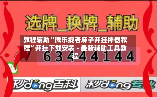 教程辅助“微乐捉老麻子开挂神器教程”开挂下载安装 - 最新辅助工具教程-第3张图片