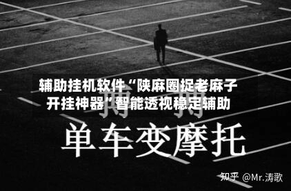 辅助挂机软件“陕麻圈捉老麻子开挂神器”智能透视稳定辅助-第2张图片