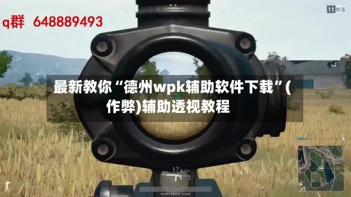 最新教你“德州wpk辅助软件下载”(作弊)辅助透视教程-第2张图片