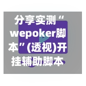 分享实测“wepoker脚本”(透视)开挂辅助脚本+详细开挂安装教程-第3张图片