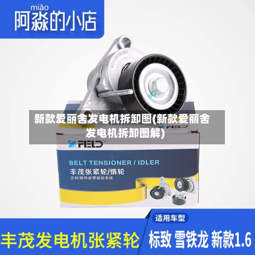 新款爱丽舍发电机拆卸图(新款爱丽舍发电机拆卸图解)