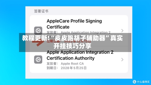 教程更新!“皮皮跑胡子辅助器”真实开挂技巧分享
