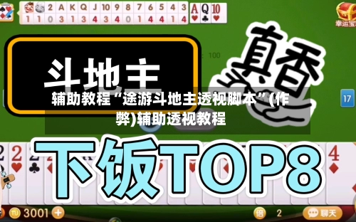 辅助教程“途游斗地主透视脚本”(作弊)辅助透视教程-第2张图片