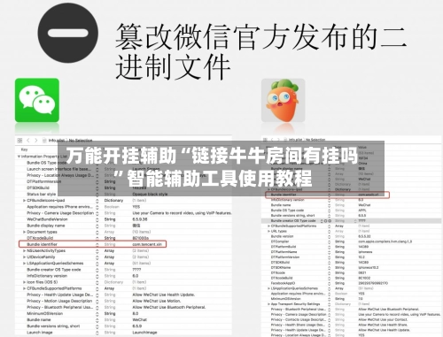 万能开挂辅助“链接牛牛房间有挂吗”智能辅助工具使用教程-第3张图片