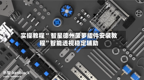 实操教程“ 智星德州菠萝插件安装教程”智能透视稳定辅助-第2张图片