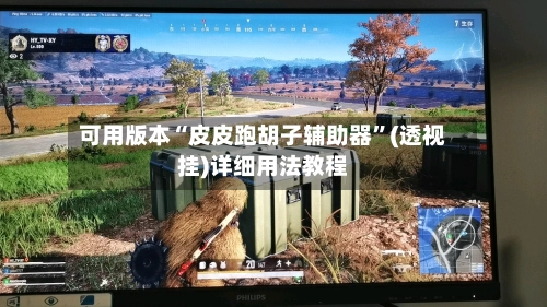 可用版本“皮皮跑胡子辅助器	”(透视挂)详细用法教程-第2张图片