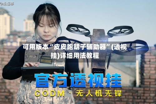 可用版本“皮皮跑胡子辅助器”(透视挂)详细用法教程-第3张图片