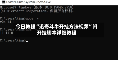 今日教程“迅奇斗牛开挂方法视频”附开挂脚本详细教程-第2张图片