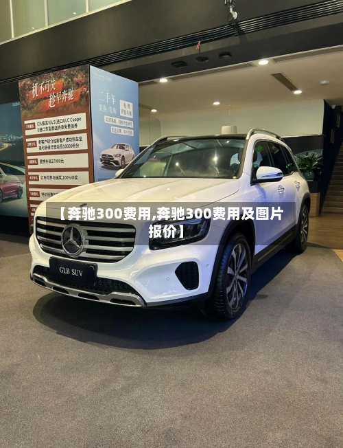【奔驰300费用,奔驰300费用及图片 报价】-第3张图片