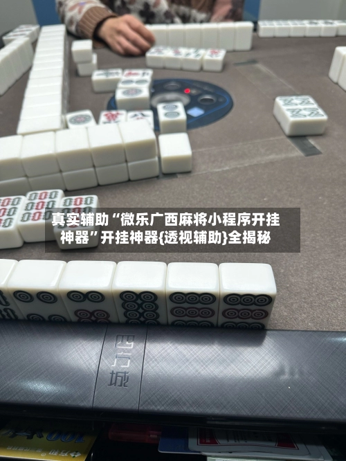 真实辅助“微乐广西麻将小程序开挂神器”开挂神器{透视辅助}全揭秘-第3张图片