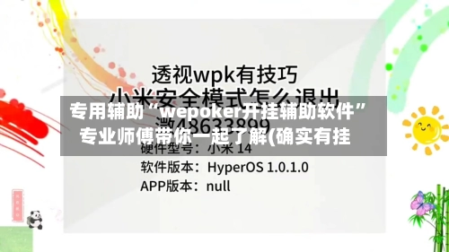 专用辅助“wepoker开挂辅助软件”专业师傅带你一起了解(确实有挂-第3张图片