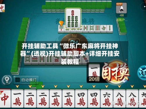 开挂辅助工具“微乐广东麻将开挂神器”(透视)开挂辅助脚本+详细开挂安装教程-第2张图片