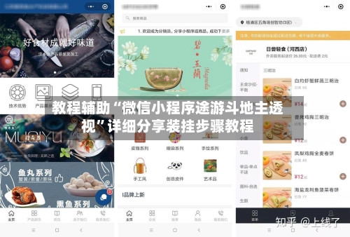 教程辅助“微信小程序途游斗地主透视	”详细分享装挂步骤教程-第2张图片