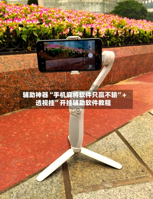 辅助神器“手机麻将软件只赢不输”+透视挂”开挂辅助软件教程