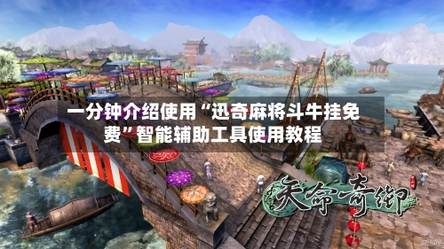 一分钟介绍使用“迅奇麻将斗牛挂免费”智能辅助工具使用教程-第2张图片