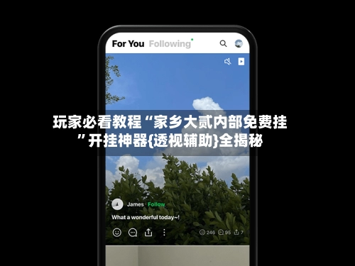 玩家必看教程“家乡大贰内部免费挂	”开挂神器{透视辅助}全揭秘-第3张图片