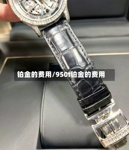 铂金的费用/950t铂金的费用
