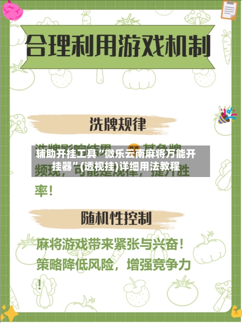 辅助开挂工具“微乐云南麻将万能开挂器”(透视挂)详细用法教程-第2张图片