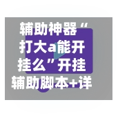 辅助神器“打大a能开挂么”开挂辅助脚本+详细开挂