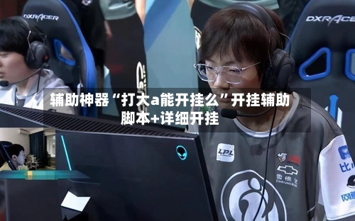 辅助神器“打大a能开挂么”开挂辅助脚本+详细开挂-第3张图片