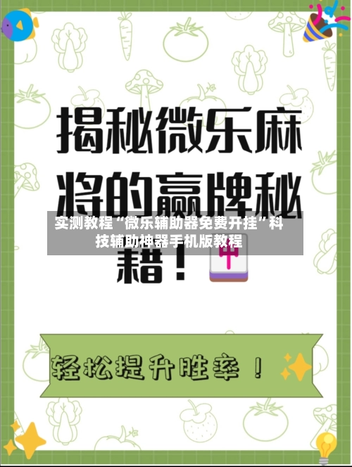 实测教程“微乐辅助器免费开挂”科技辅助神器手机版教程-第2张图片