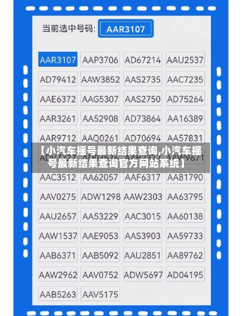 【小汽车摇号最新结果查询,小汽车摇号最新结果查询官方网站系统】-第2张图片